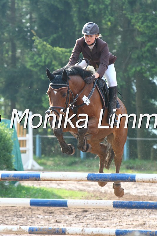 103M2996_Companion_Spring A.JPG